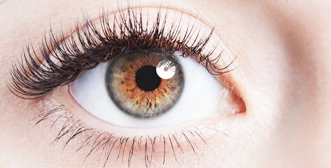 Ocular Health Calgary Downtown Vision Care